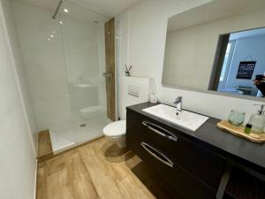 uma casa de banho com um lavatório, um WC e um chuveiro em Appartements climatisés - Vieil Antibes em Antibes