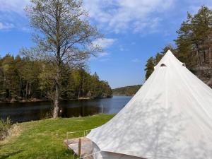 a teepee in the grass next to a river at Hommen Gård Glamping in Risør