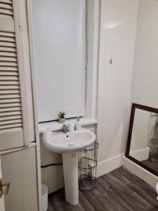 ein Badezimmer mit einem weißen Waschbecken und einem Spiegel in der Unterkunft Shortridge Terrace - 2 in Jesmond