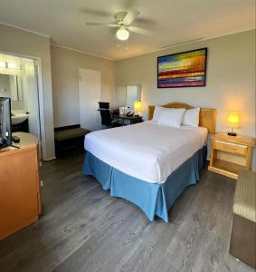 a hotel room with a large bed and a television at 2400 Motel in Vancouver