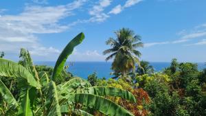 vista sull'oceano da una giungla con una palma di Rosekayen a Capesterre-Belle-Eau