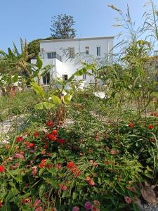 un giardino fiorito di fronte a un edificio di Tower traditional pool villa a Kremasti