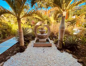 a garden with a fountain and two palm trees at Tropicana Suites in Deshaies +45 photos