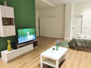 ein Wohnzimmer mit einem Flachbild-TV und einem Sofa in der Unterkunft Apartamento entero en Valencia in Valencia