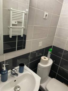 bagno con servizi igienici, lavandino e specchio di Appartement Le Tivoli proche du centre ad Albi