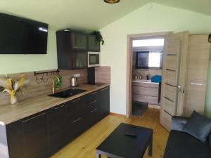 a kitchen with a sink and a counter top at Papardes in Ogresgals