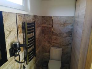 een badkamer met een toilet en een douche bij Papardes in Ogresgals