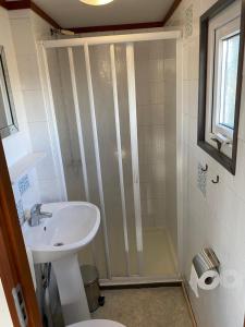 a bathroom with a sink and a shower at Chalet ZonZeeSion T12 with Bikes! in Buren