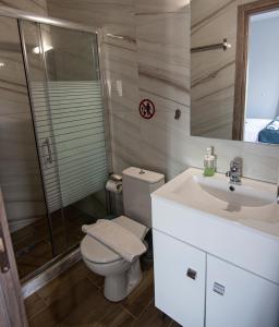 uma casa de banho com um WC, um lavatório e um chuveiro em Nikitas Apartments & Suites em Kanali