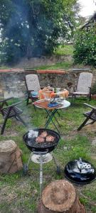 a picnic table with a grill and a table with food on it at Domaine de la cure in Curgy