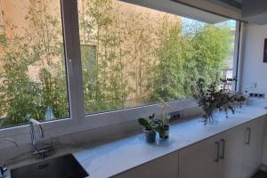 Fotografie z fotogalerie ubytování Casa Cari v destinaci Agullana