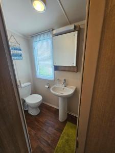 a small bathroom with a toilet and a sink at Oak Green in Gristhorpe