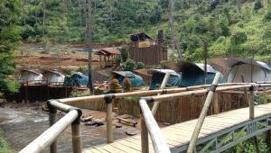 Pengalongan的住宿－Camping hutan pinus singkur rahong，河上一座桥上的一组帐篷