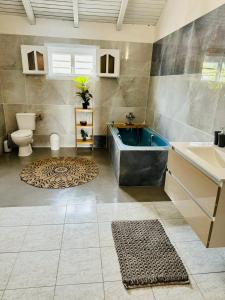 ein Badezimmer mit einer Badewanne, einem WC und einem Waschbecken in der Unterkunft Le Val de l'Orge in Vieux-Habitants