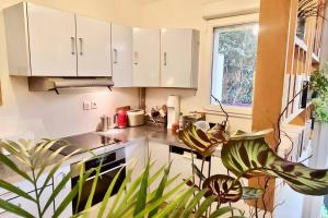 a kitchen with white cabinets and a potted plant at Grand appartement avec jardin calme et lumineux in Saint-Ouen