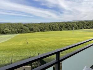 a view of a large field of green grass at Mirador Rioja alta golf in Cirueña