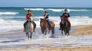 a group of people riding horses on the beach at Seaside, Marina Beach in Marina Beach