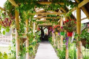 Afbeelding uit fotogalerij van LA GRANJA ECOHOTEL in La Tebaida +106 foto's