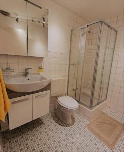 a bathroom with a shower and a toilet and a sink at Gemütliches Bergidyll mit top Lage in Leukerbad