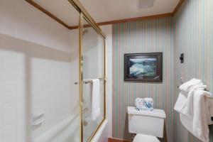 a bathroom with a shower and a white toilet at Bear Peak Lodge 1 Mile to Gondola and Great Views in Breckenridge