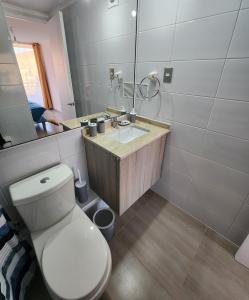 ein Badezimmer mit einem WC, einem Waschbecken und einem Spiegel in der Unterkunft Departamento ejecutivo in Antofagasta