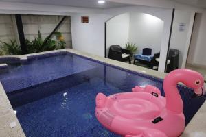 een roze opblaasbare roze zwaan in een zwembad bij Blue Dreams Hotel in Hone Creek