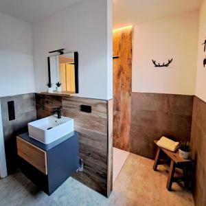 a bathroom with a sink and a mirror at Landhaus Seemann Ferienwohnungen im Grünen in Walsrode