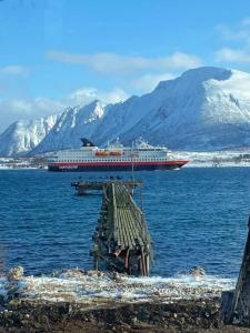 a cruise ship in the water with mountains in the background at Sortland Camping og Motell AS in Sortland