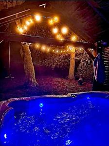 a dark room with lights and a hot tub at Whiskers and Woods Shepherd Hut in Denham