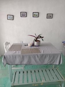 une table avec une plante en pot en haut dans l'établissement El rinconcito, à Mérida