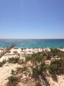 a beach with chairs and umbrellas and the ocean at Comporta House in Comporta