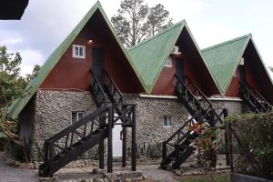 Boquete Firefly Inn في بوكيتي: منزل به سقف أخضر