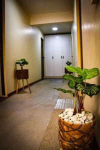 Fotografie z fotogalerie ubytování Killary Apart Hotel v destinaci Antofagasta
