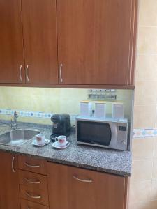 um balcão de cozinha com um micro-ondas e um lavatório em Apartamento Hío Aldán - Cangas em Vilariño