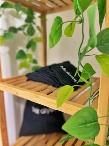 a wooden shelf with a potted plant on it at *NEW* The Cozy Haven, 5 minutes to ATL airport in Atlanta