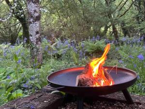 a grill with a fire in it on a table at Cornwall Woodland Dog Friendly Shepherd's Hut in Bodmin