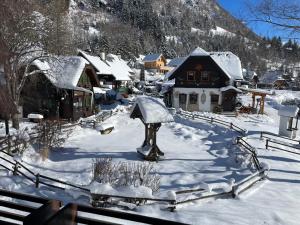 Ferienhaus Bettina Rassis Feriendorf Donnersbachwald during the winter