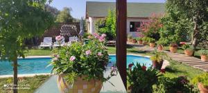 un jardín con macetas y una piscina en Tiny House - Oasis de tranquilidad, belleza y seguridad, en Los Barriales