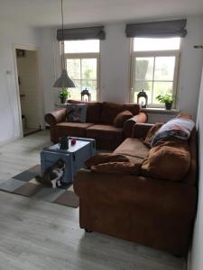 a living room with two couches and a cat sitting on a rug at Welkom op de Mildert in Nederweert