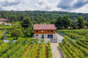 a house in the middle of a vineyard at Quinta Alvaredo in Melgaço