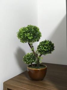 a plant in a brown pot sitting on a table at Dbo-Vivo Mall Apartment in Baia Mare