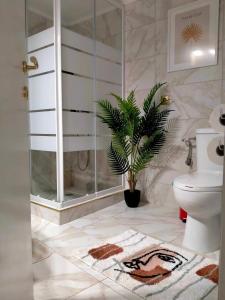 uma casa de banho com um chuveiro, um WC e uma planta em Peach Blossom 2BDR Downtown Veria em Veria