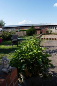 einen Garten mit Topfpflanze und Bank in der Unterkunft Pension Lausitzer Seenland in Elsterheide