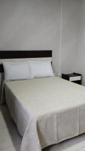 坦皮科的住宿－HOTEL TAMPICO EXPRESS MORALILLO，一间卧室配有一张白色的床和黑色床头板