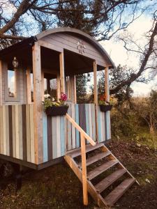 MountshannonCosy Shepherds hut Between Maple and Hawthorn的相册照片
