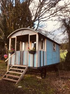 MountshannonCosy Shepherds hut Between Maple and Hawthorn的相册照片