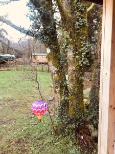 MountshannonCosy Shepherds hut Between Maple and Hawthorn的相册照片