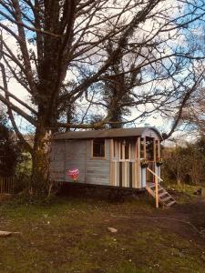 a small house sitting next to a tree at Cosy Shepherds hut Between Maple and Hawthorn in Mountshannon