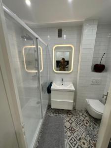 a bathroom with a shower and a sink and a toilet at Studio Villennes sur seine cosy Paris Versailles in Villennes-sur-Seine