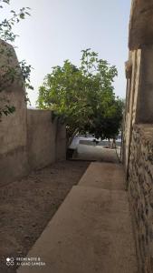 an alley with a tree in the middle of a building at Villa de campagne dans les hauteurs, vue panoramique sur mer in Ghazaouet